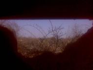 Сошників - Останні фото