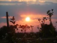 Чоп з panoramio.com