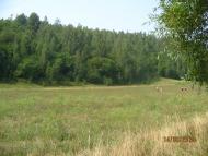 Розльоти з panoramio.com