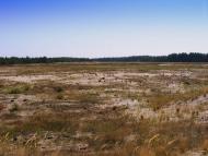 Забарине з panoramio.com