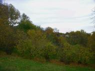 Високе з panoramio.com