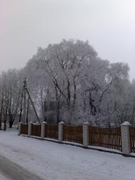 Студениця з panoramio.com