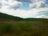 Синапне з panoramio.com