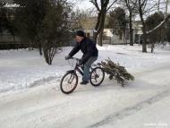 Генічеськ з panoramio.com