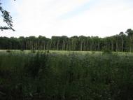 Лукашівка - Останні фото