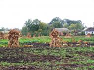 Райківці з panoramio.com