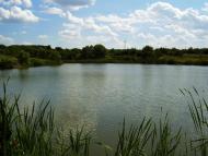 Попасна з panoramio.com