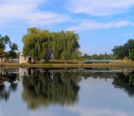 Доманівка з panoramio.com