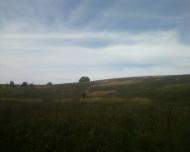 Синява з panoramio.com