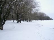 Малокаховка з panoramio.com