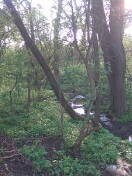 Дуліби з panoramio.com