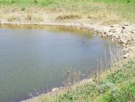 Садовий з panoramio.com