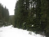 Либохорa з panoramio.com