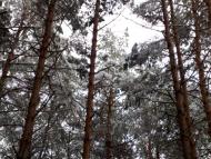 Фрузинівка - Останні фото