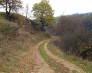 Ящикове з panoramio.com