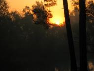 Букине з panoramio.com