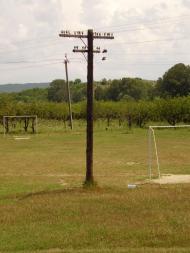 Некрасовка з panoramio.com