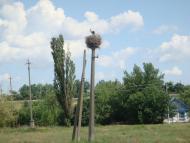 Старобогданівка з panoramio.com