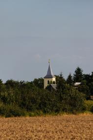 Палло - Останні фото