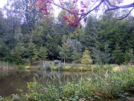 Грабово з panoramio.com