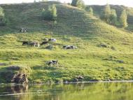 Устя з panoramio.com