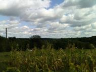 Сухоносівка з panoramio.com