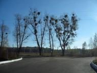 Березівка з panoramio.com