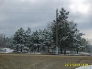 Долинка - Останні фото