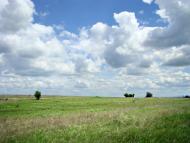 Зеленодільське з panoramio.com