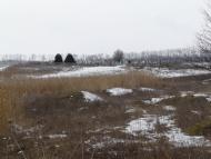 Новозар'ївка - Останні фото