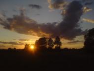 Студениця з panoramio.com