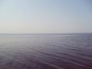 Циблі з panoramio.com