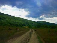 Щасливе з panoramio.com