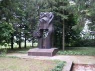 Малин - Останні фото