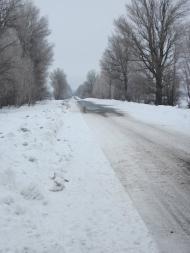 Огіївці з panoramio.com