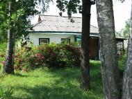 Пії з panoramio.com