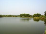 Попасна з panoramio.com