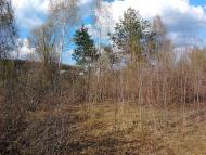 Слоут з panoramio.com