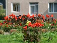 Зарваниця з panoramio.com