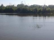 Baranykivka - Latest photos