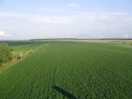 Шебутинцы - Последние фото