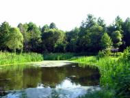 Лучківка з panoramio.com