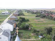 Олешник з panoramio.com