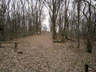 Яреськи з panoramio.com