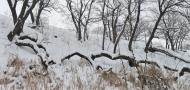 Зугрес з panoramio.com (ч.2) - Zugres