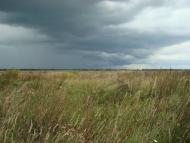 Зелена Поляна - Останні фото