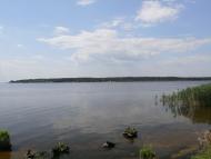 Циблі з panoramio.com