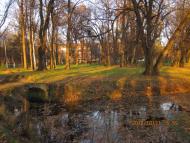 Сторожинець з panoramio.com