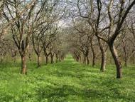 Драганівка з panoramio.com