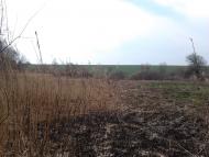 Рогачі з panoramio.com